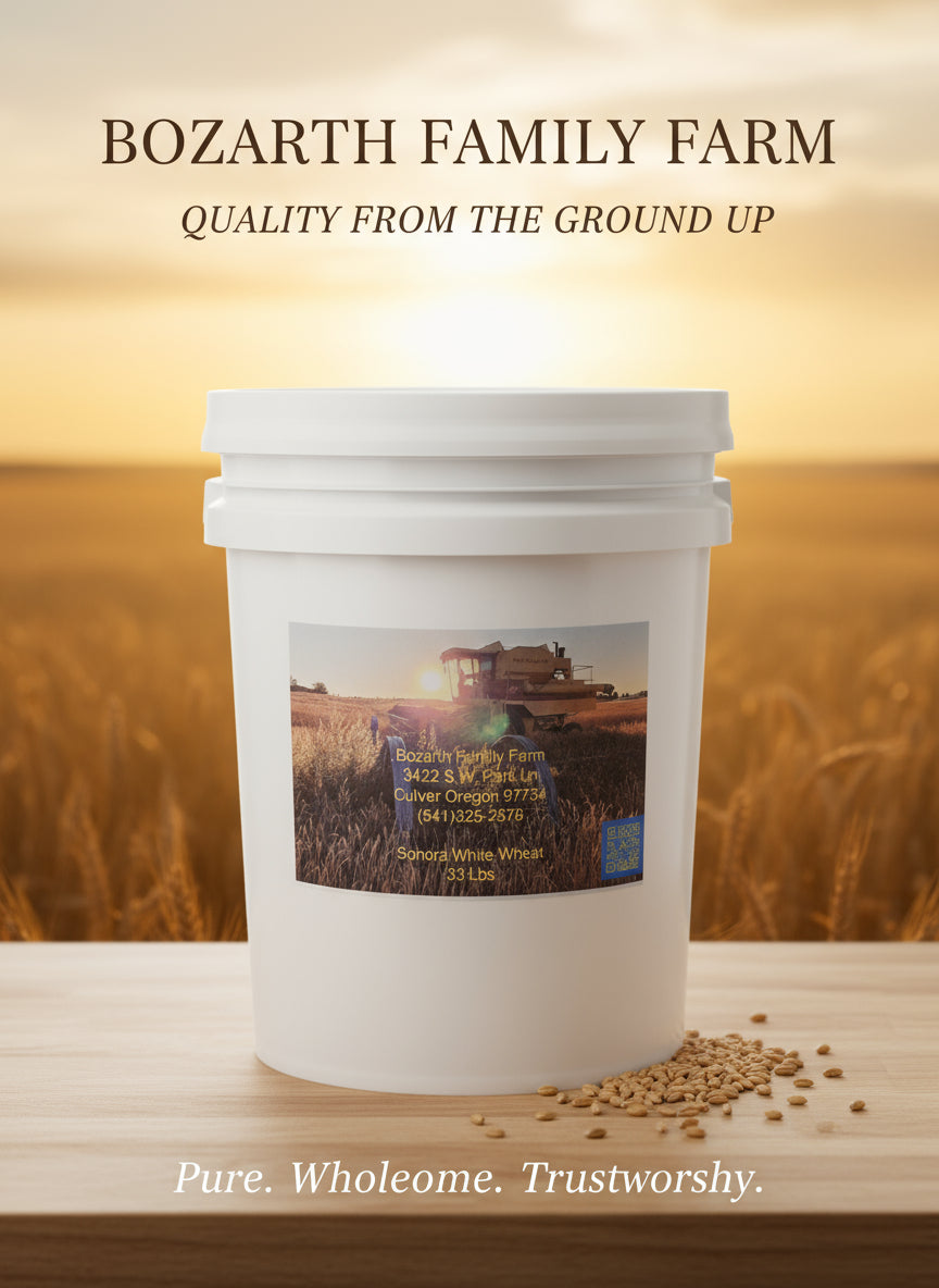 Bulk Sonora Wheat Berries 33lbs 5gallon bucket with resealable lid.