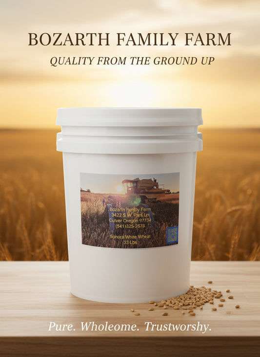 Bulk Sonora Wheat Berries 33lbs 5gallon bucket with resealable lid.